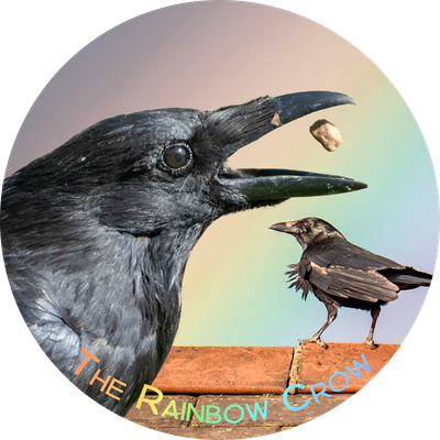 The Rainbow Crow