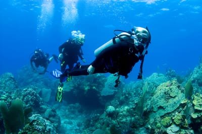 What to Know about Scuba Diving Certification  image