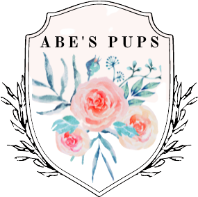 Abe's Pups