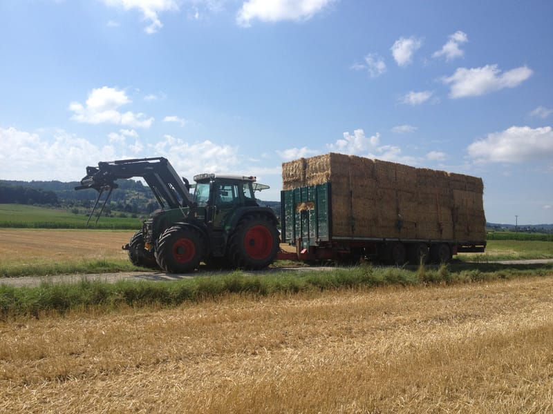 Raufutterhandel/Transport