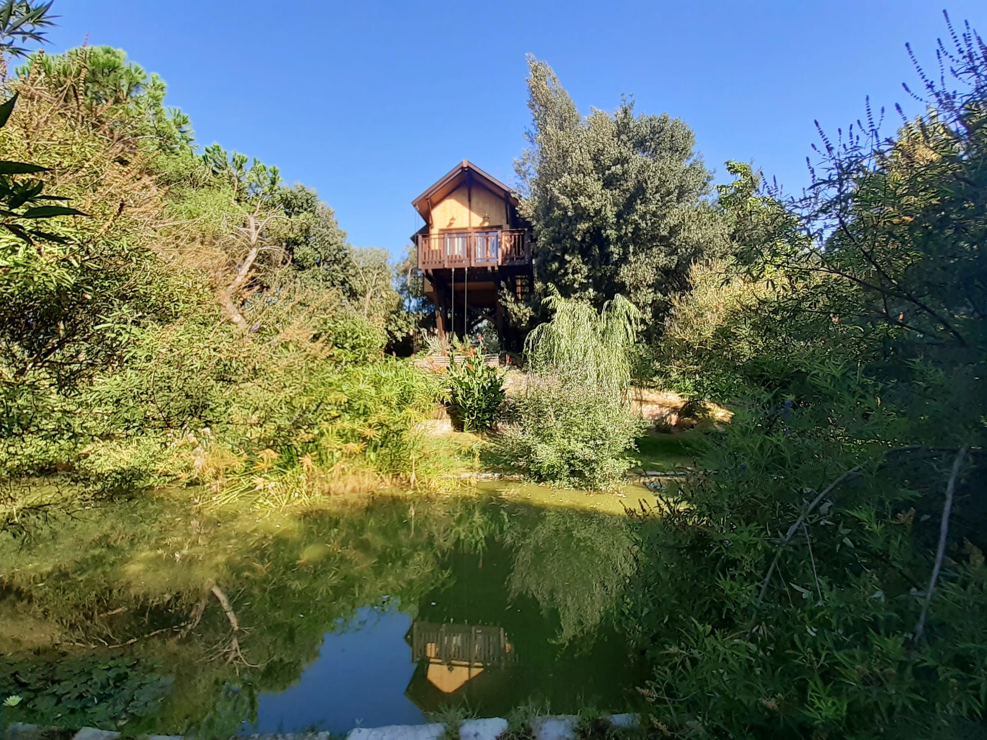 Casa sull'Albero Awen  Treehouse a Castiglione del Lago