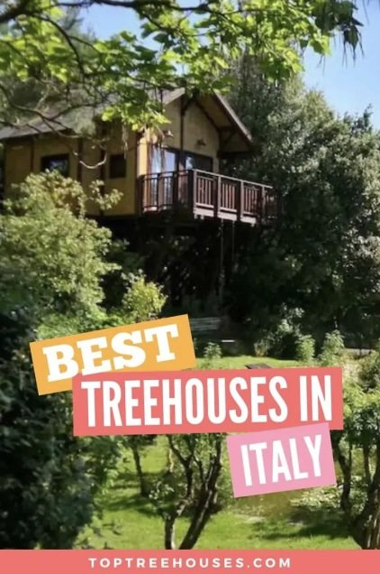 TOP TREE HOUSES