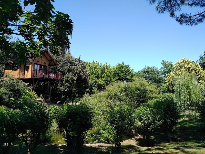 LA CASA SULL'ALBERO DI 39 PIANI - Limerick