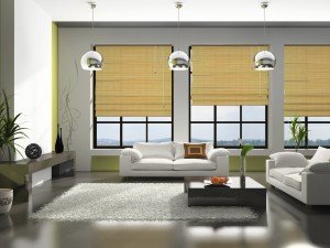 Factors to Consider When Buying Window Shades and Blinds image