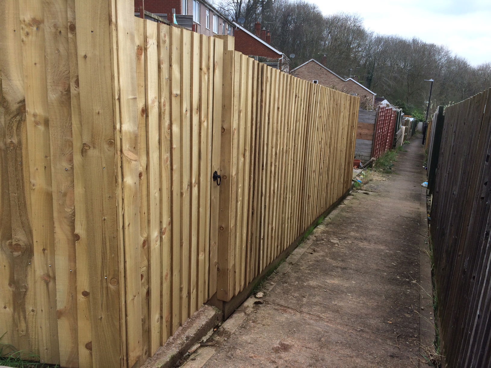 Feather edge fencing and rear entrance gate to match