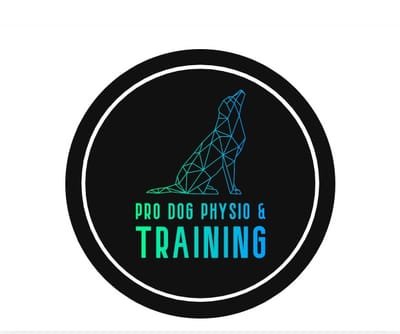 Pro Dog Physio & Training