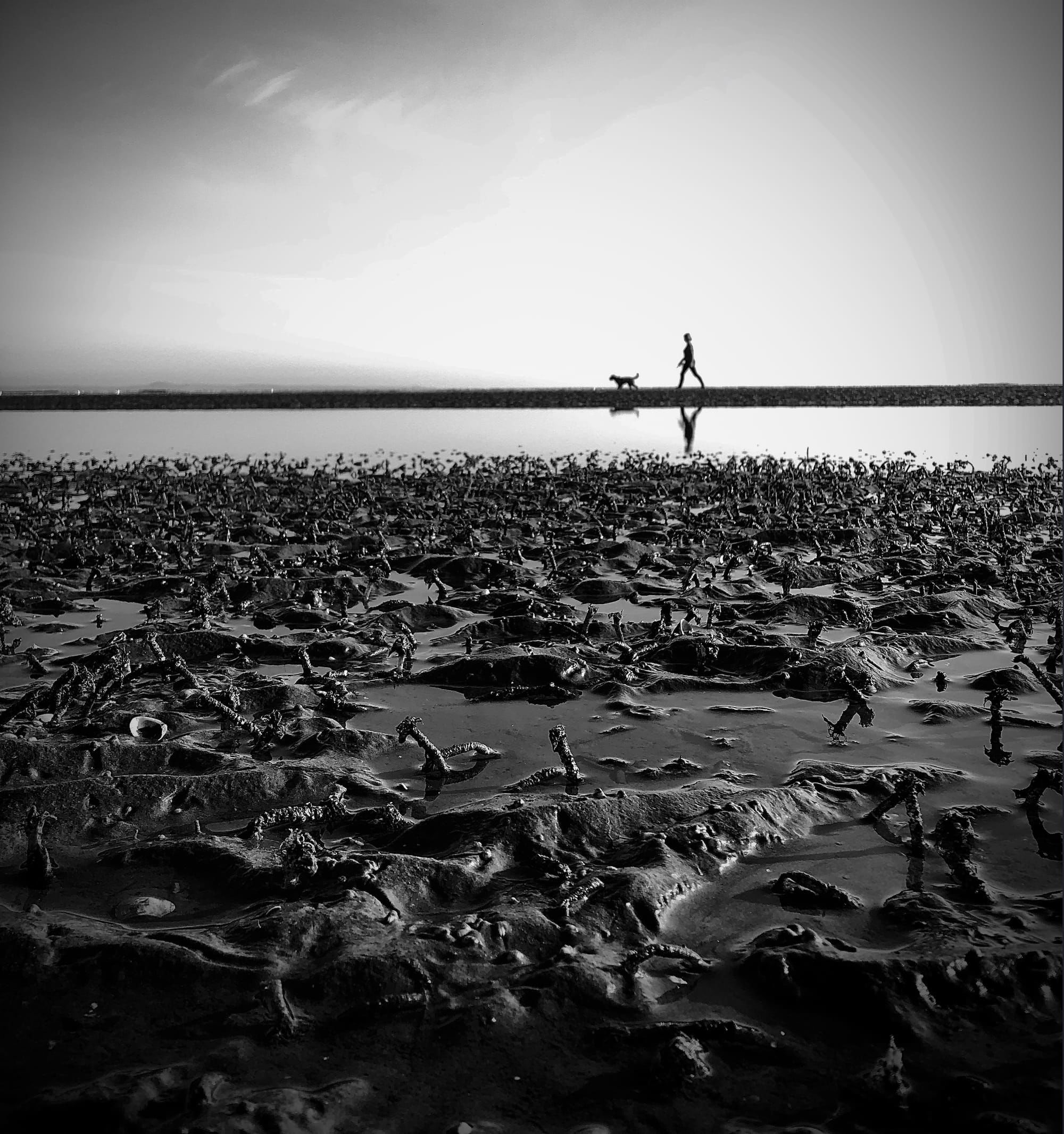 PORTOBELLO BEACH - EDINBURGH