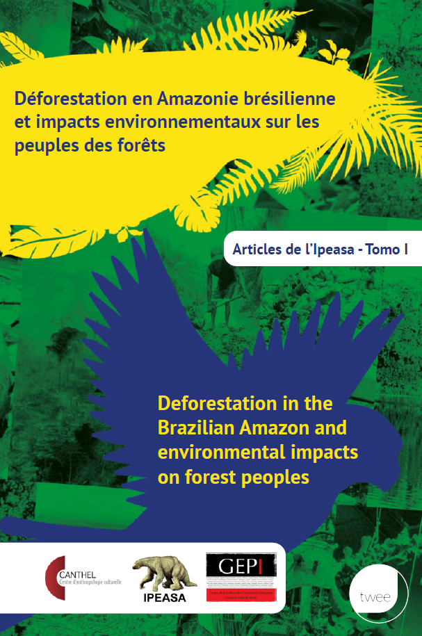 THE AMAZON CONTEXT EXPLAINED IN TROPICS