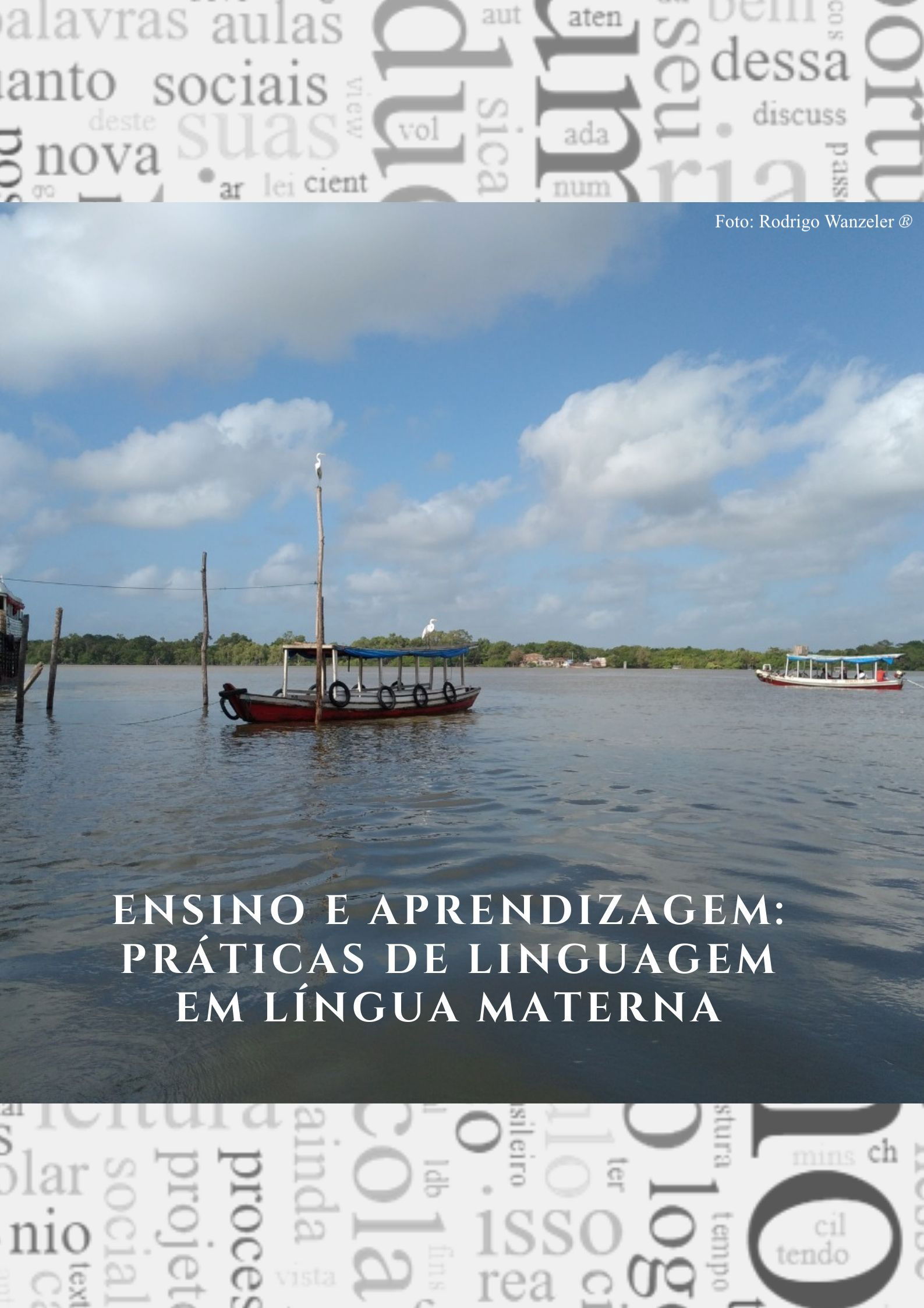 PRÁTICAS DE LÍNGUA PORTUGUESA E LITERATURA