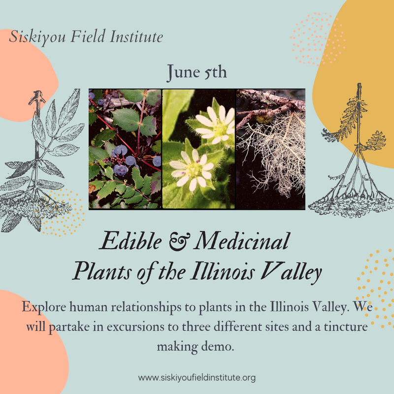 Edible and Medicinal Plants of the Illinois Valley