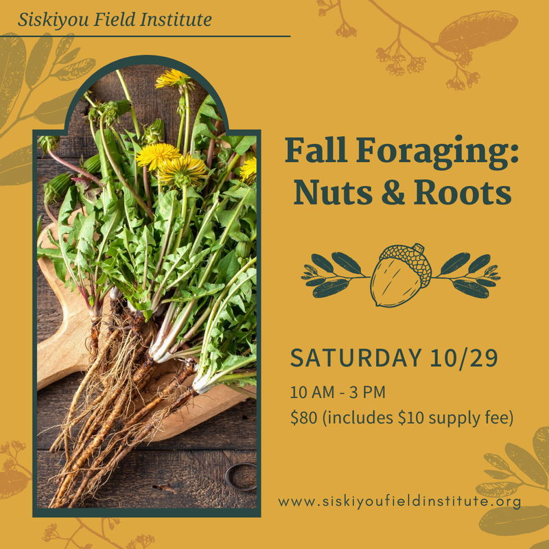 Fall Foraging: Nuts and Roots