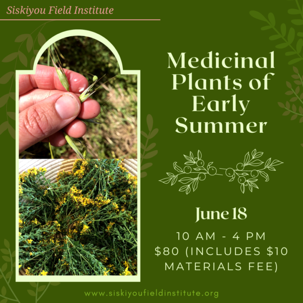 Medicinal Plants of the Early Summer