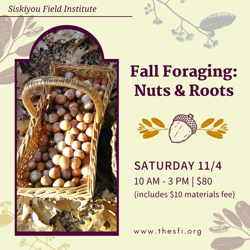 Fall Foraging: Nuts and Roots