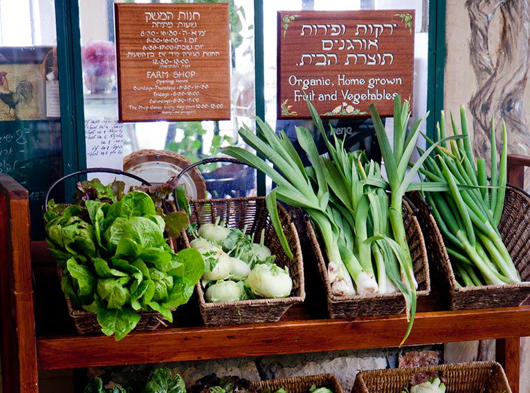 החנות הכי טעימה שיש כאן