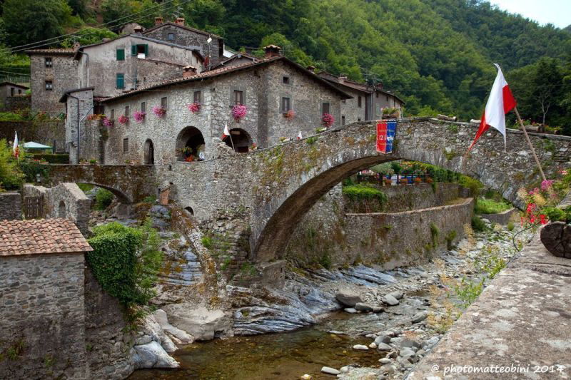 Ponte della Dogana