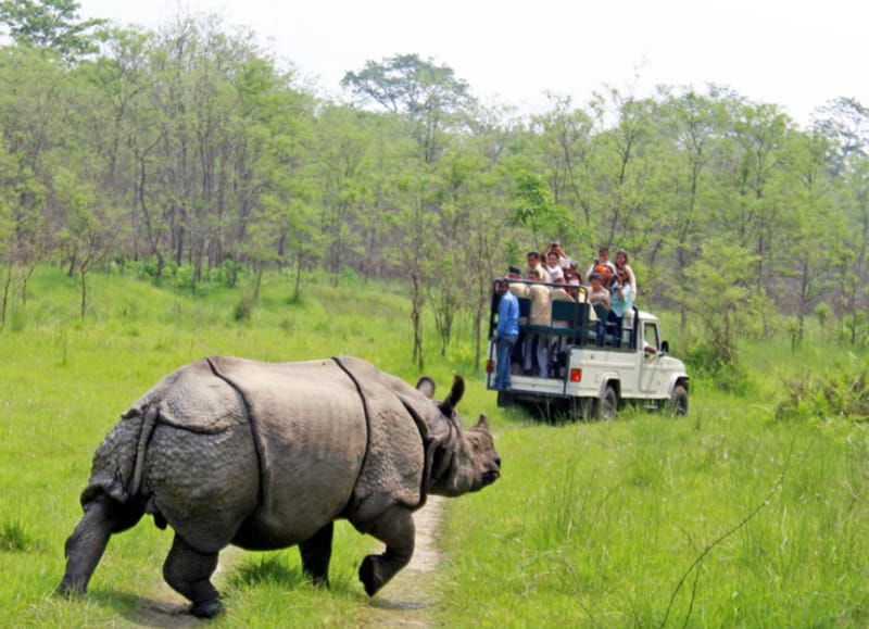 Jeep Safari