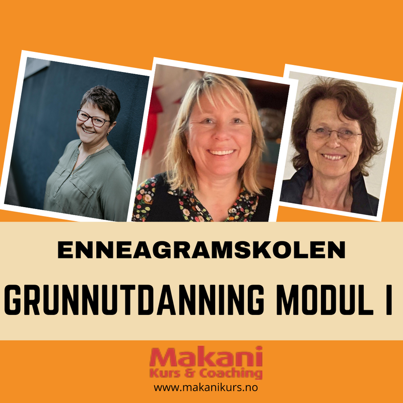 Enneagramskolen: grunnutdanning modul I