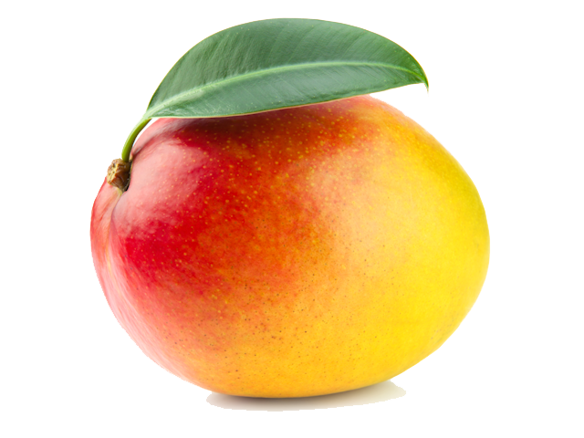 Mango Discipleship