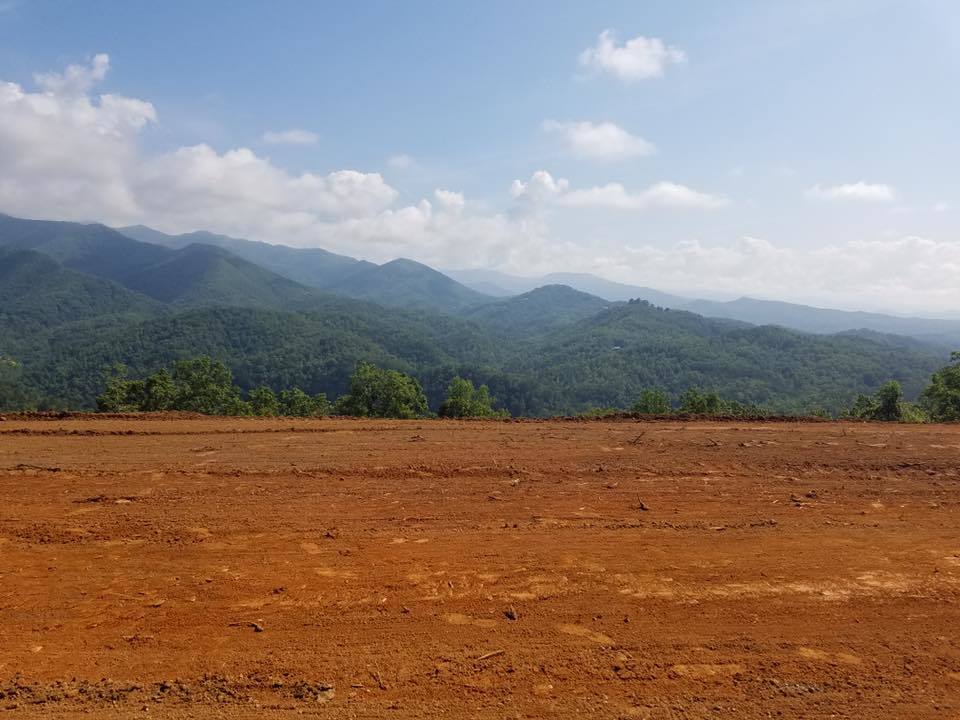 Nathan's Tree Service and Excavating, Inc. Tree Removal Service