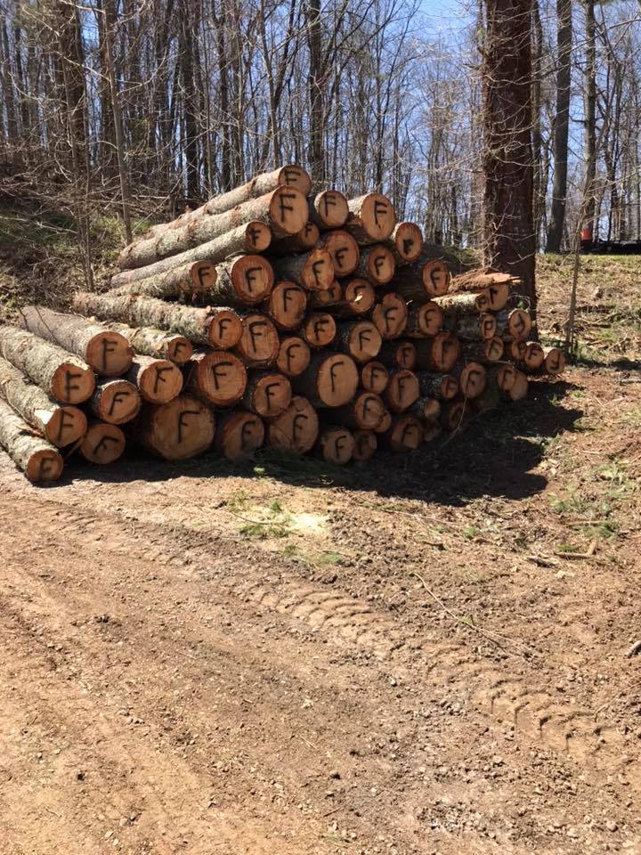 Nathan's Tree Service and Excavating, Inc. Tree Removal Service