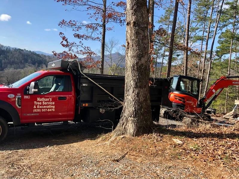 Nathan's Tree Service and Excavating, Inc. Tree Removal Service