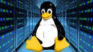מה זה לינוקס ( Linux )