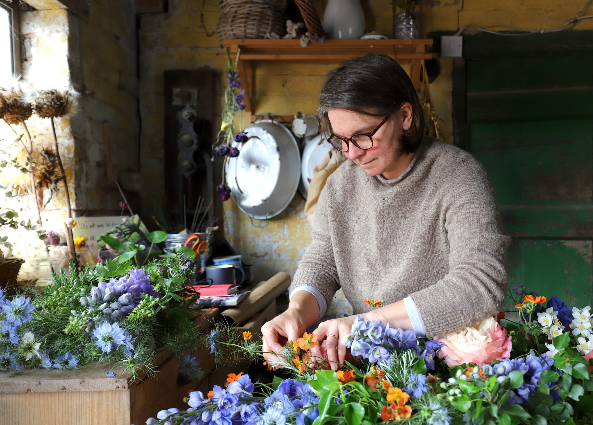 Colour, Scent and Beauty