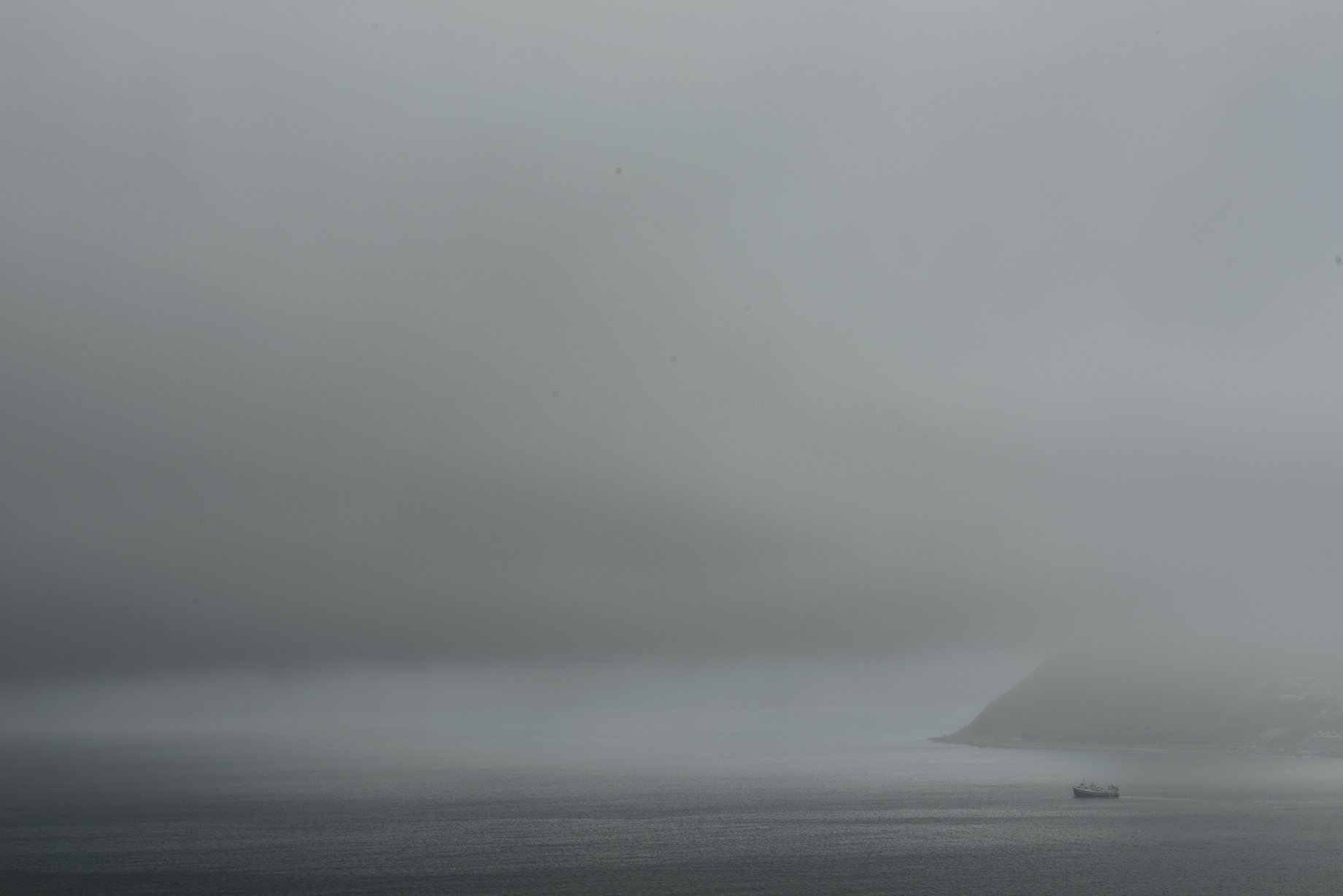 Mist in the Bay