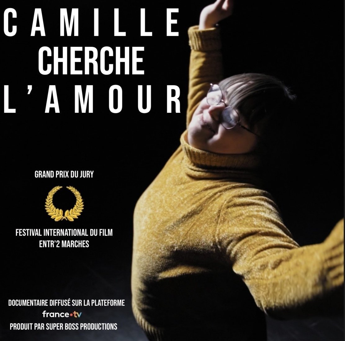 Camille cherche l'amour : Grand prix du jury