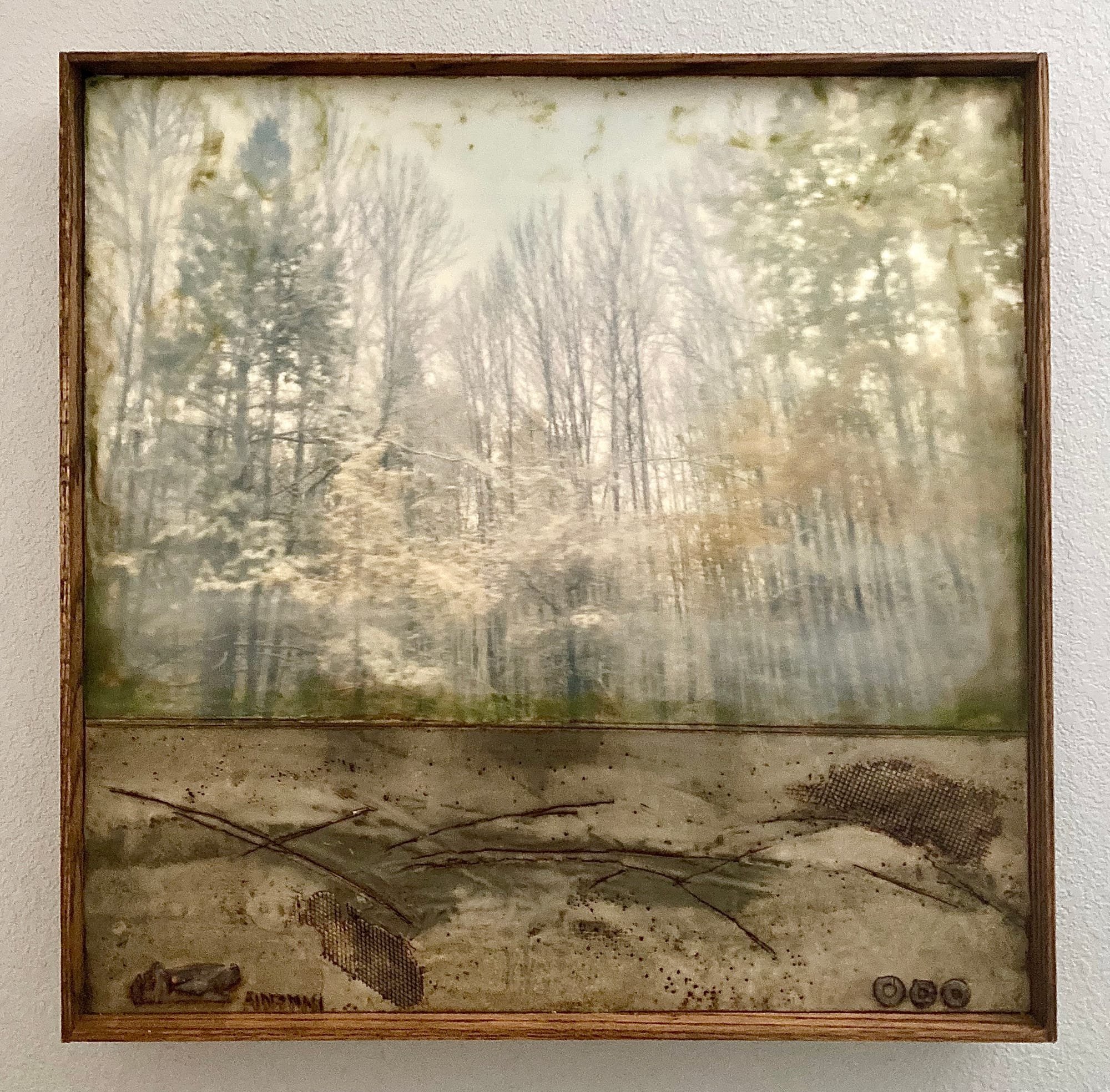In Foggy Marsh 24.5 x 24.5 $750