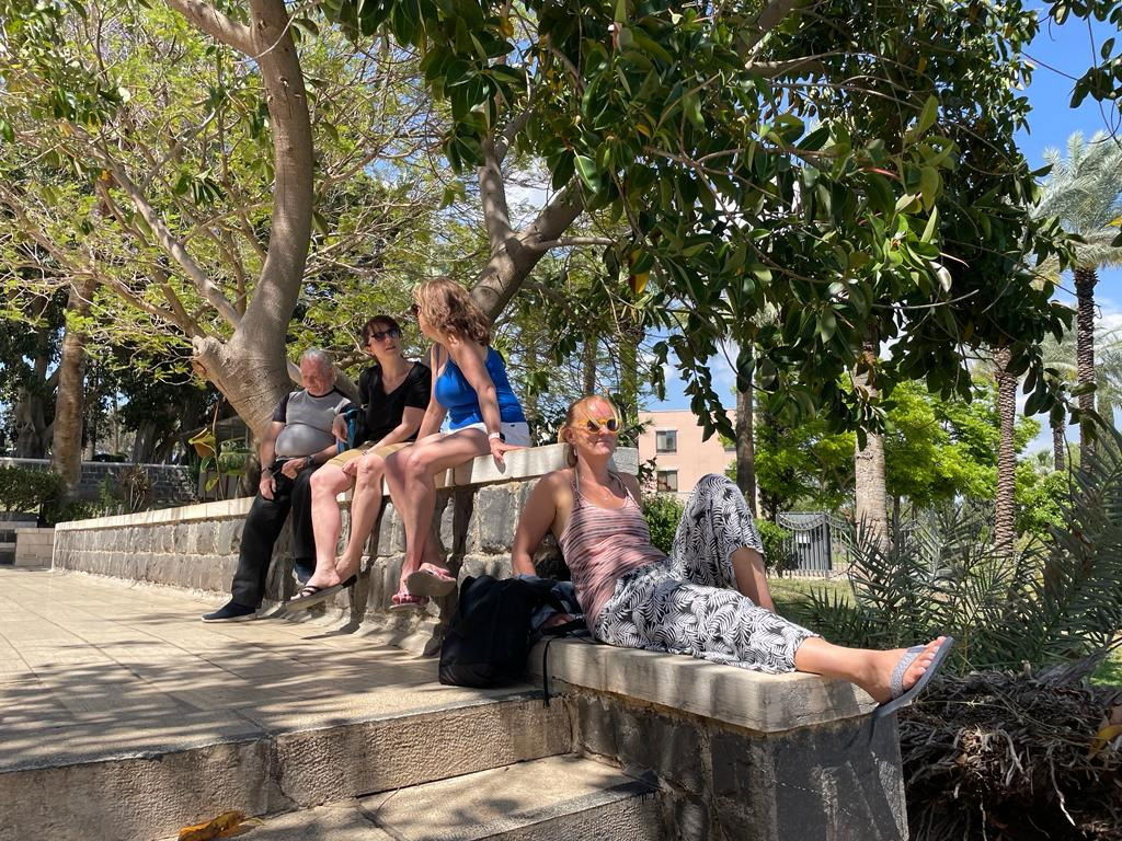גליל סיור בכנרת