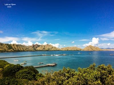 charter leisure snorkeling tour komodo national park image