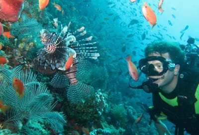 Discover Scuba Diving image