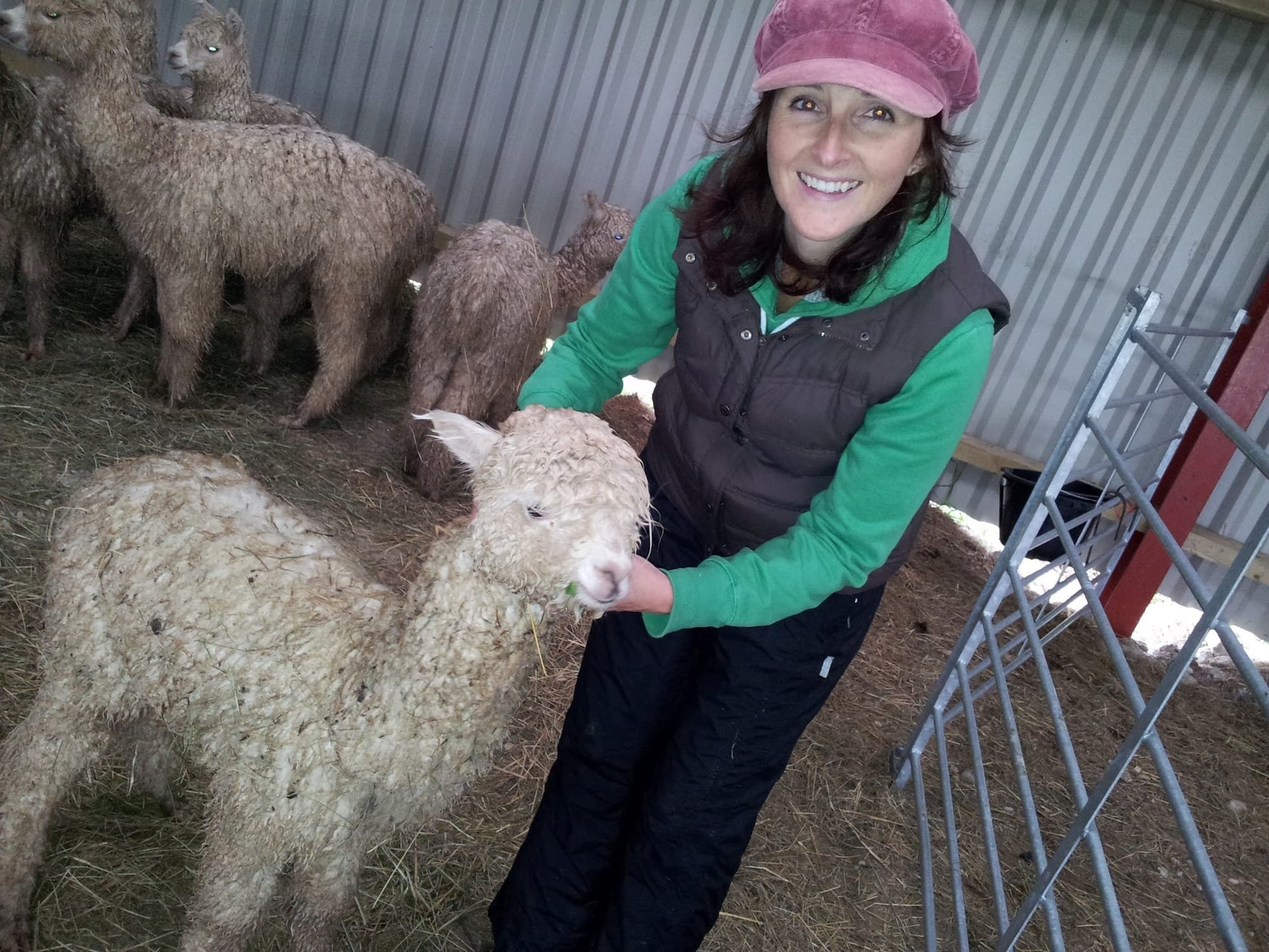 Jo and a soggy Sweep, just before first shearing