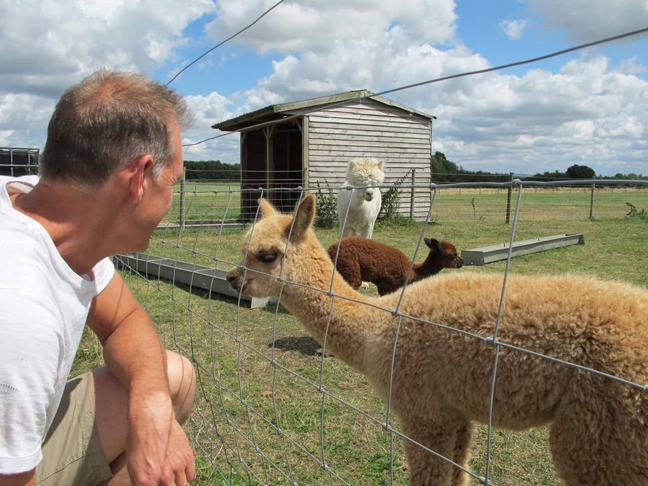 James with Dolly- one of our orphaned alpacas