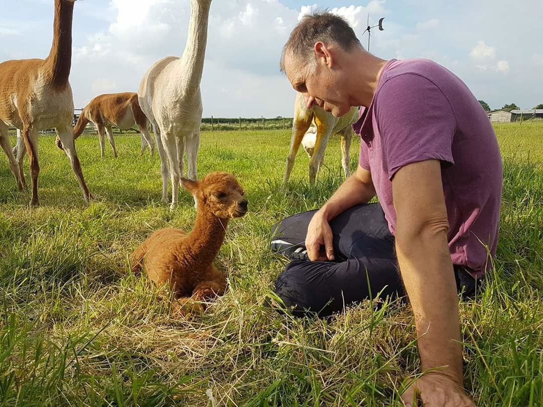 James with little Faith