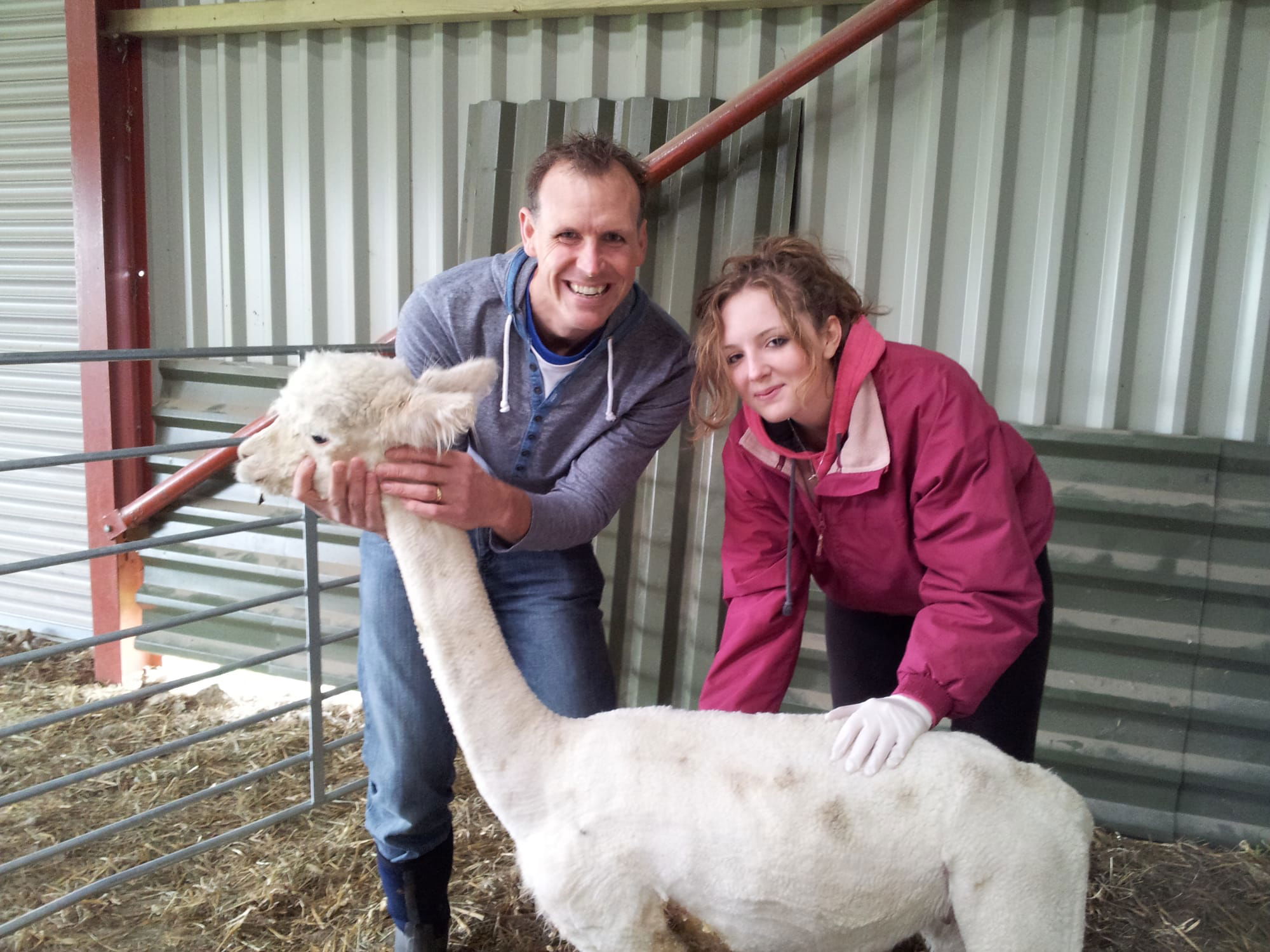James and Amy after our first alpaca was shorn