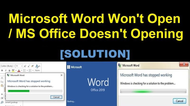Microsoft Word won't open