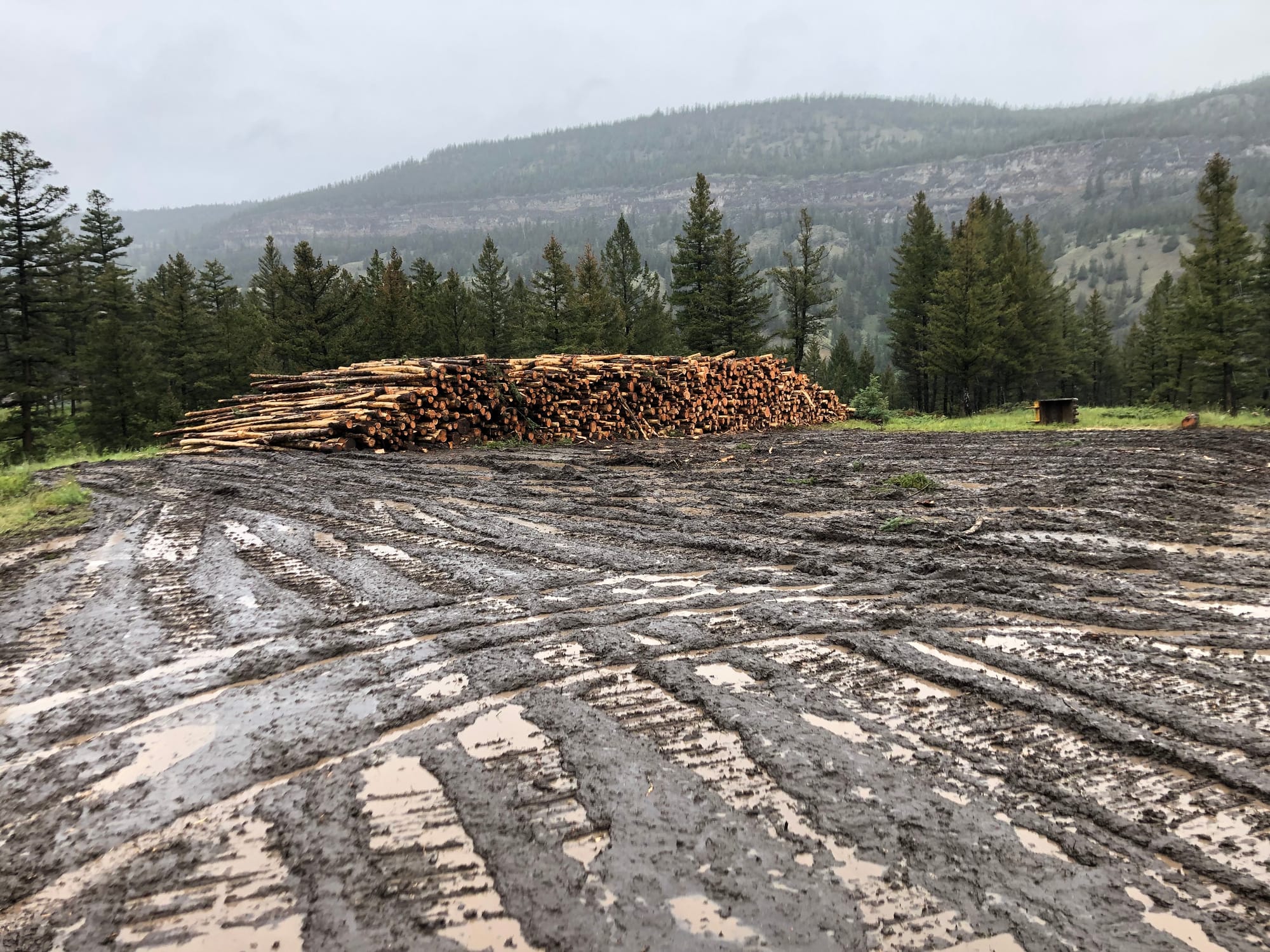 Dog Creek Subdivision (Stswecem'c Xgat'tem First Nation) Quality