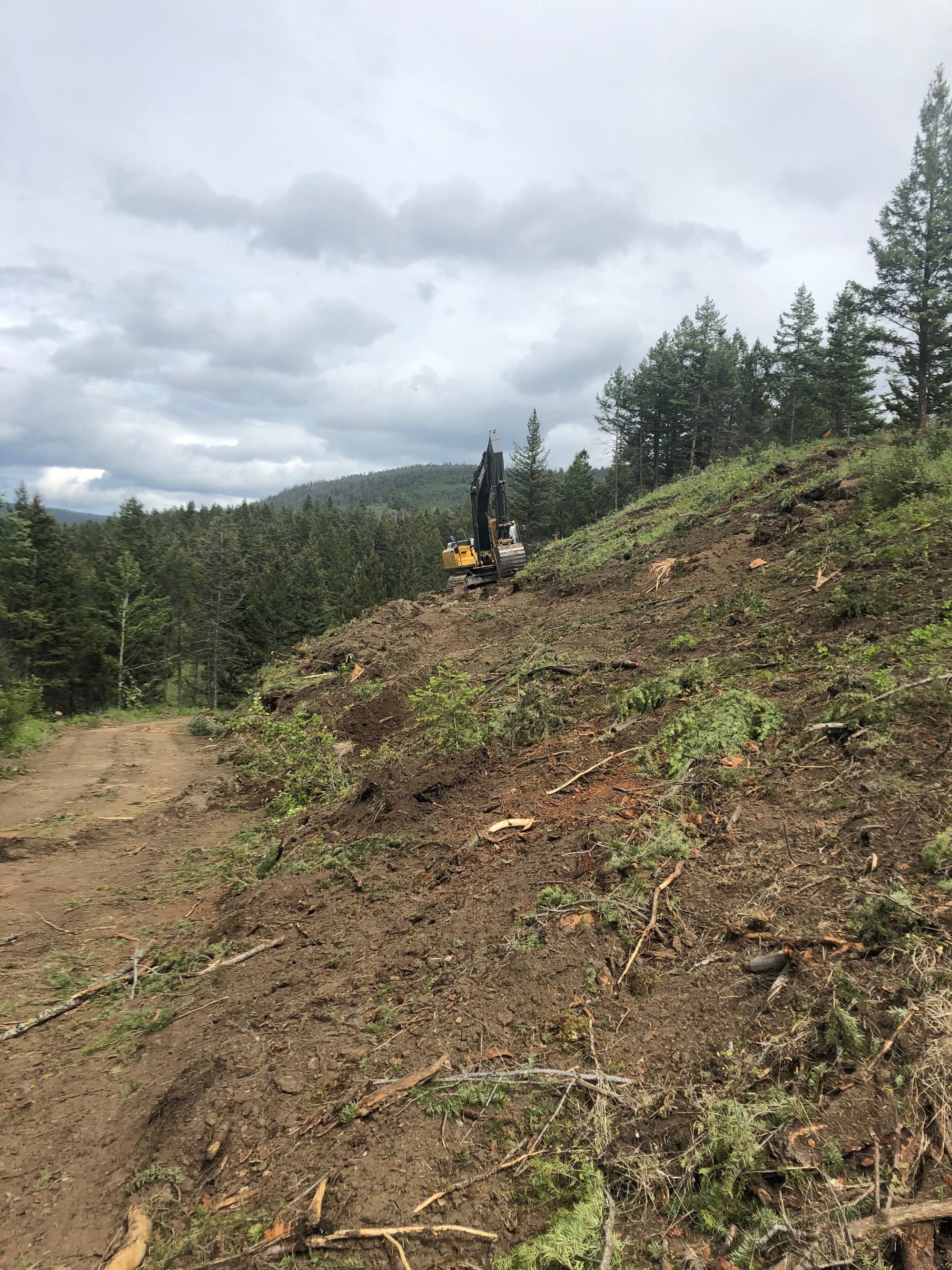 Dog Creek Subdivision (Stswecem'c Xgat'tem First Nation) Quality