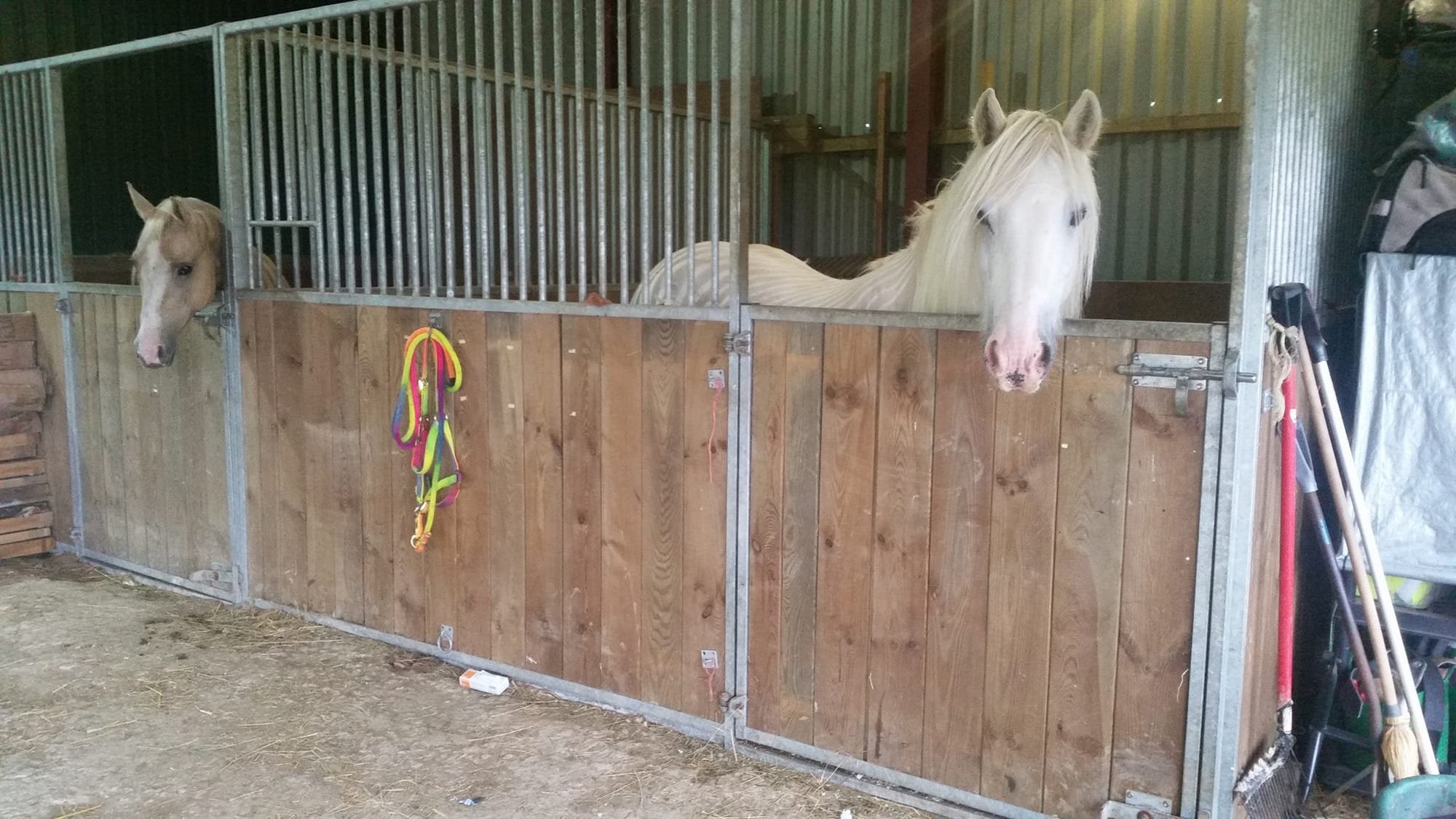 Internal stables for emergency use/box rest
