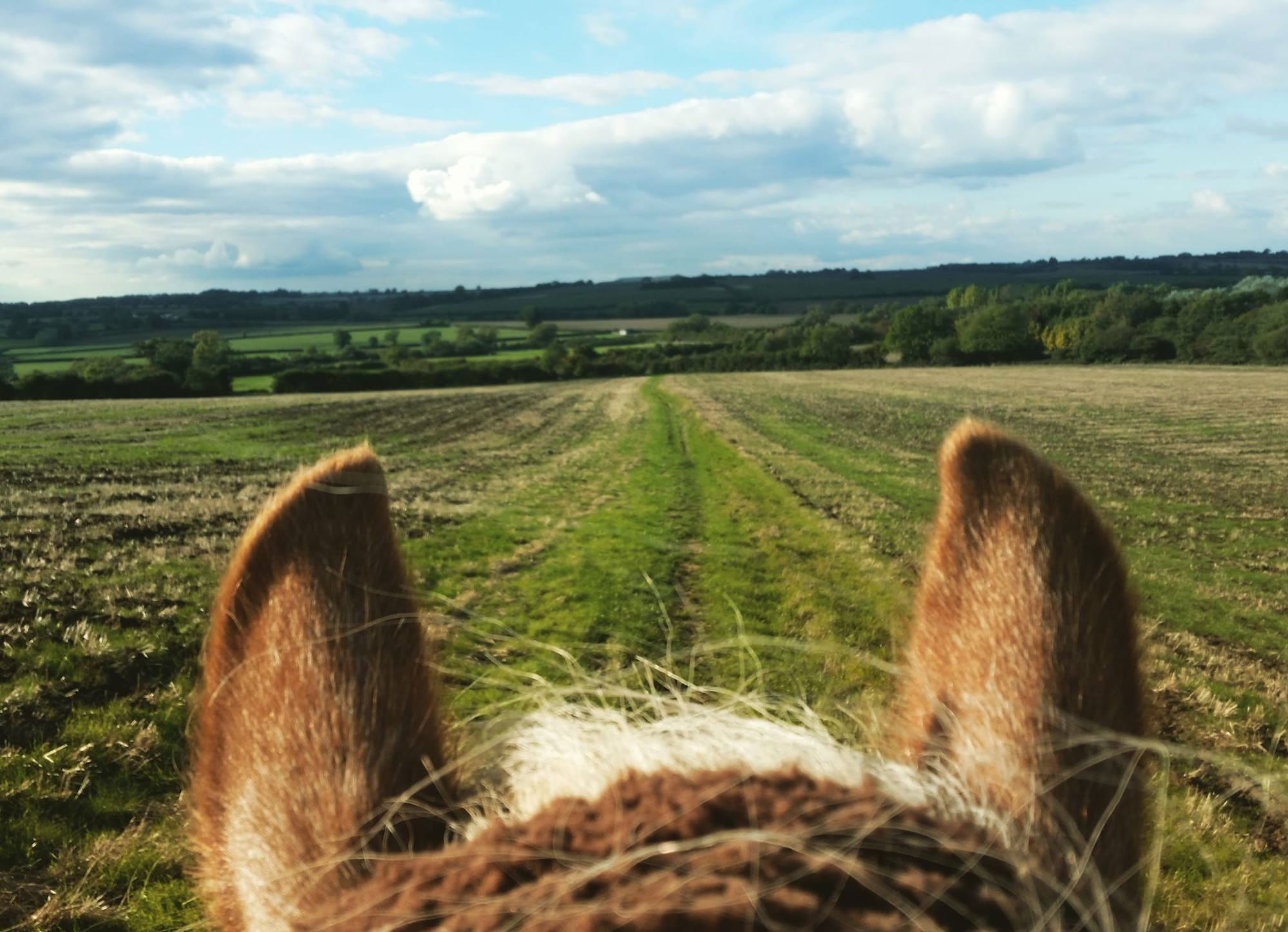 Local bridleway 10 mins directly from the farm (no road work)