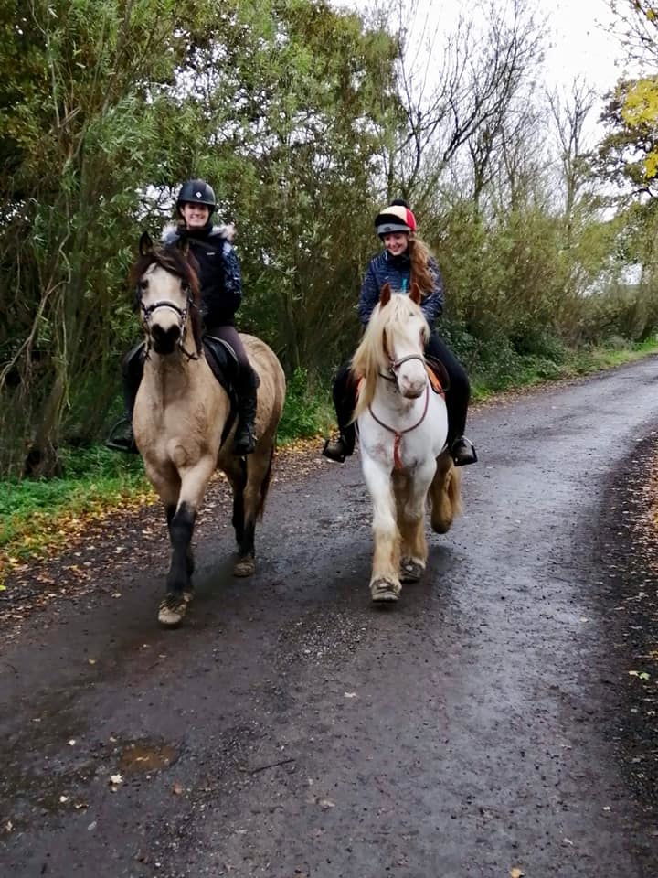 Farm lane