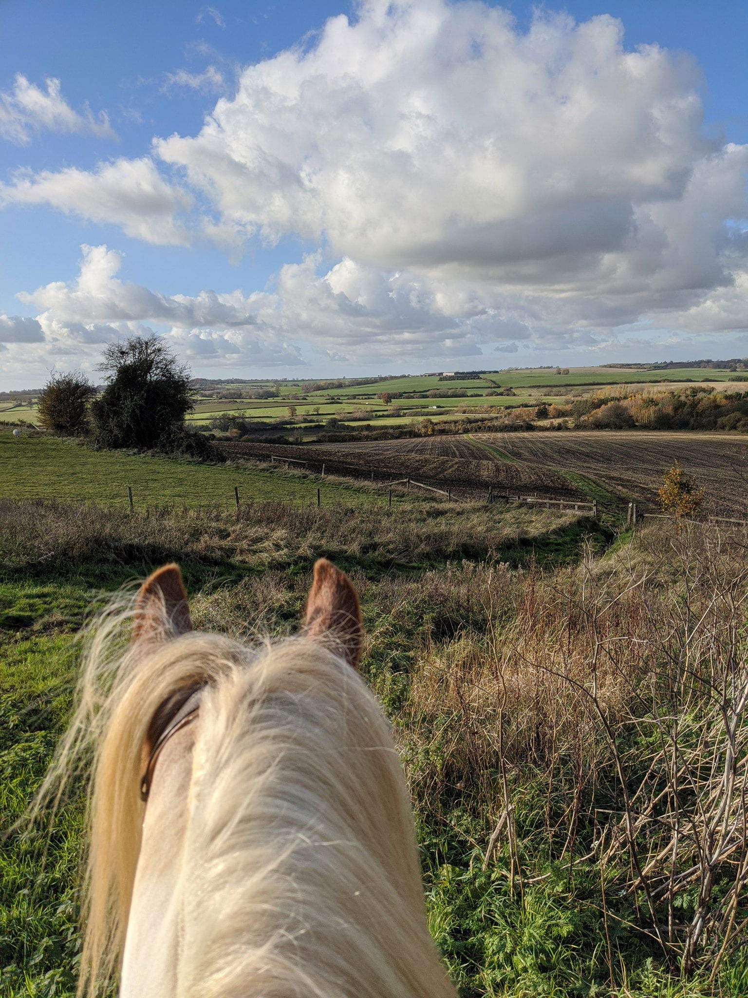 View from the top of the bridlepath - Local loop