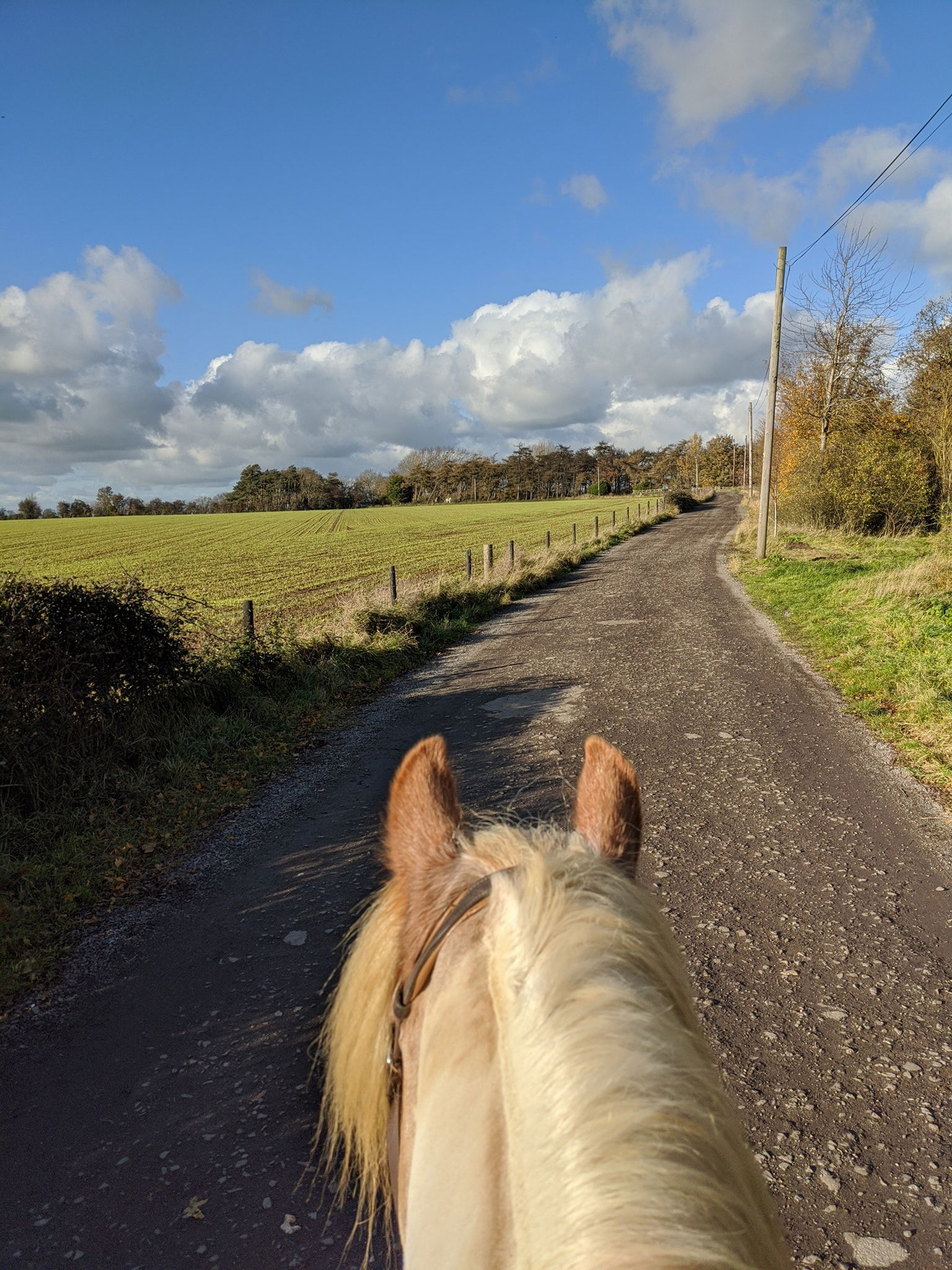 The farm lane - Local loop