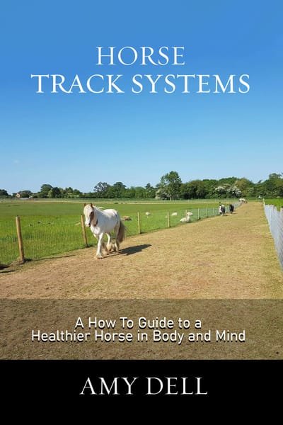 Track Systems Book image