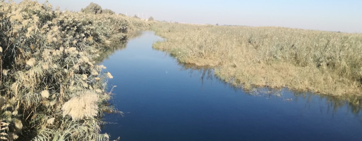 Rehabilitation of irrigation channel-Al Asriya village in Ramadi- Anbar