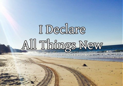 Declare New Things over your situation
