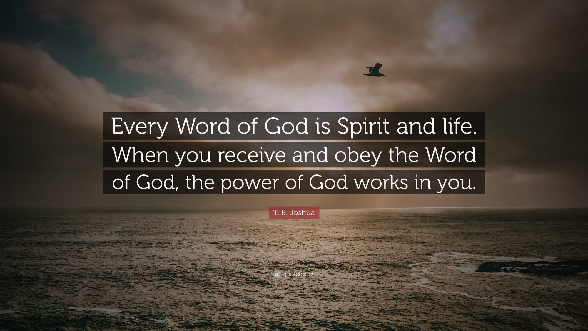 The Spirit and the Word are Life