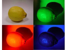 Question n°37 : Pourquoi un citron "jaune" est-il jaune et peut changer de couleurs ?